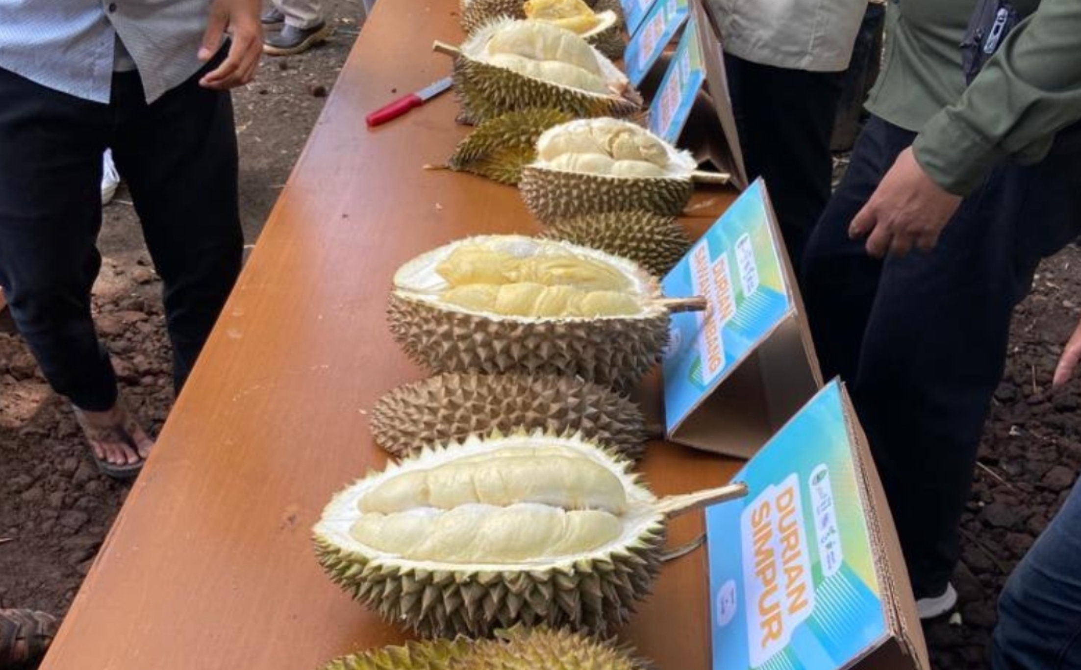 Lagi di Majalengka? Cobain Nih 5 Durian Lokal yang Rasanya Seperti Butter hingga Mentega