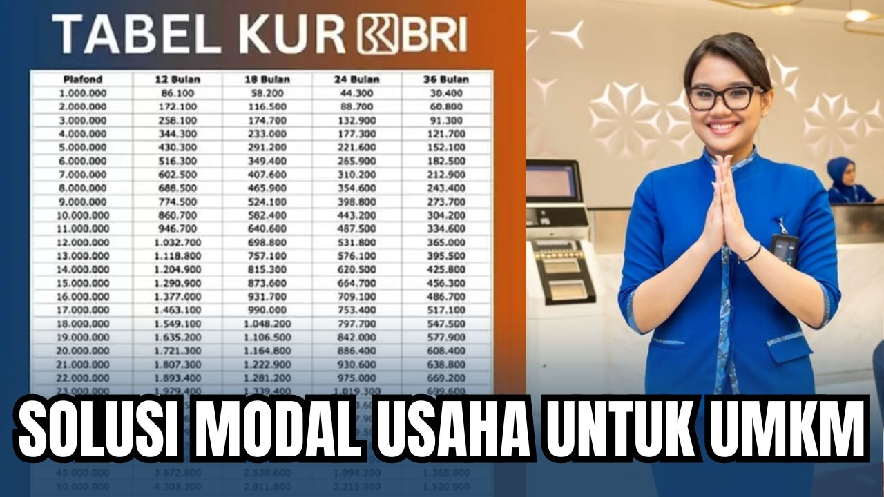 Angsuran KUR BRI Pinjaman 30 Juta Lengkap Dengan Syarat dan Rincian Pinjaman: Solusi Untuk UMKM Naik Kelas!
