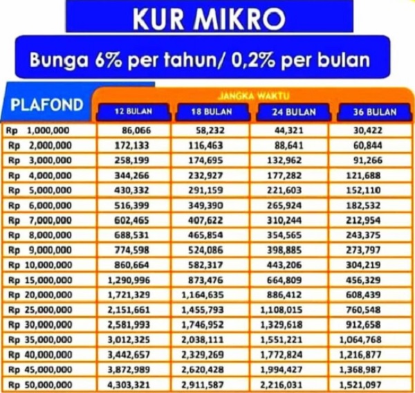 Cek Rincian Tabel Angsuran KUR BRI 2025 Terbaru Disini, Berikut Ringkasannya untuk UMKM