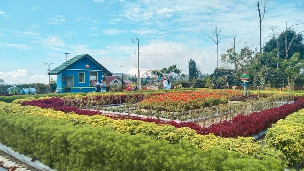 Taman Bunga Bee Park Cocok untuk Wisata Keluarga