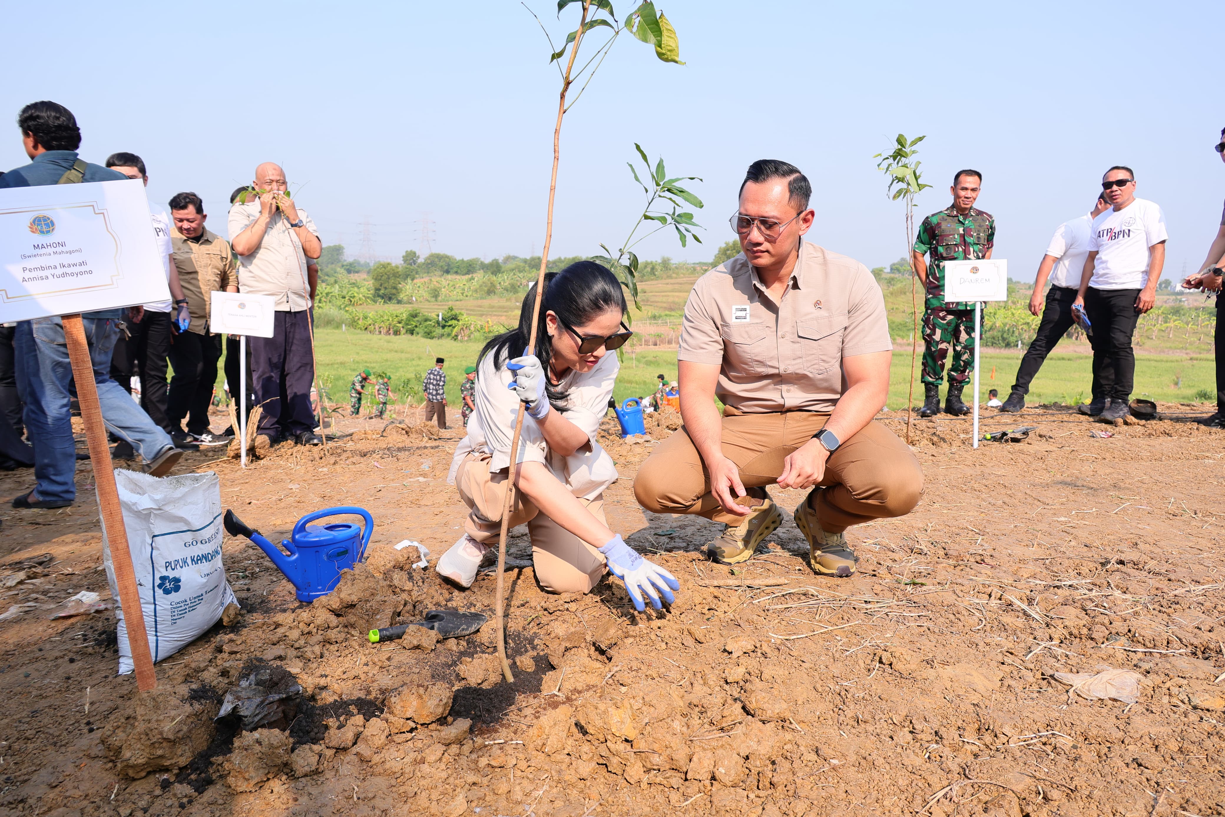 Peringati Hari Lingkungan Hidup Sedunia,Menteri AHY Pimpin Penanaman 100.000 Pohon