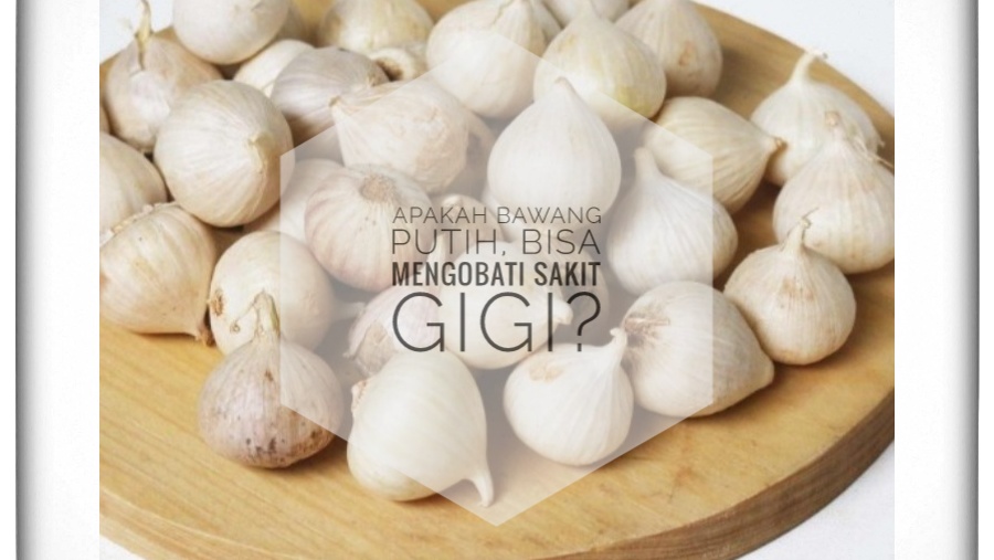 Apakah Bawang Putih Bisa Menyembuhkan Sakit Gigi? Ini Beberapa Pendapat Menurut Ahli