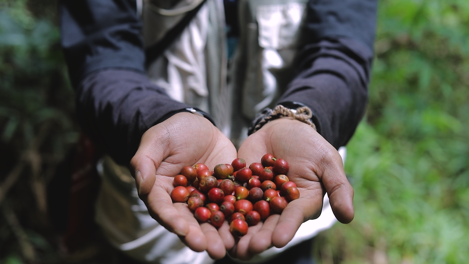 Lewat Program Desa BRILiaN, Desa Pajambon di Kuningan Jadi Contoh Transformasi Ekonomi Desa Berbasis Lokal