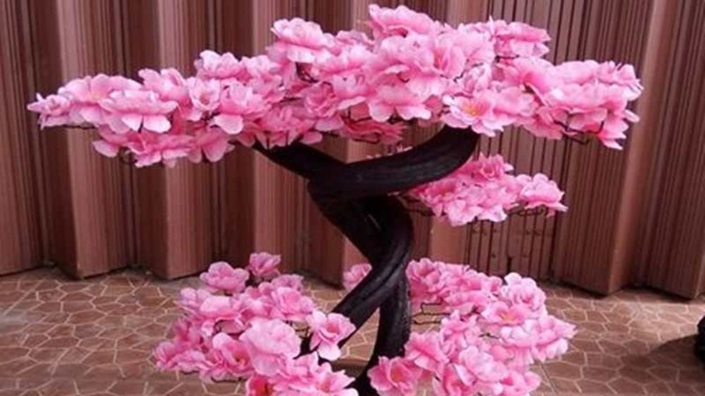 5 Tanaman Hias Ini Bukan Cuma Cantik, Tapi Dipercaya Hadirkan Rezeki, Harmoni dan Keberuntungan Imlek 2026