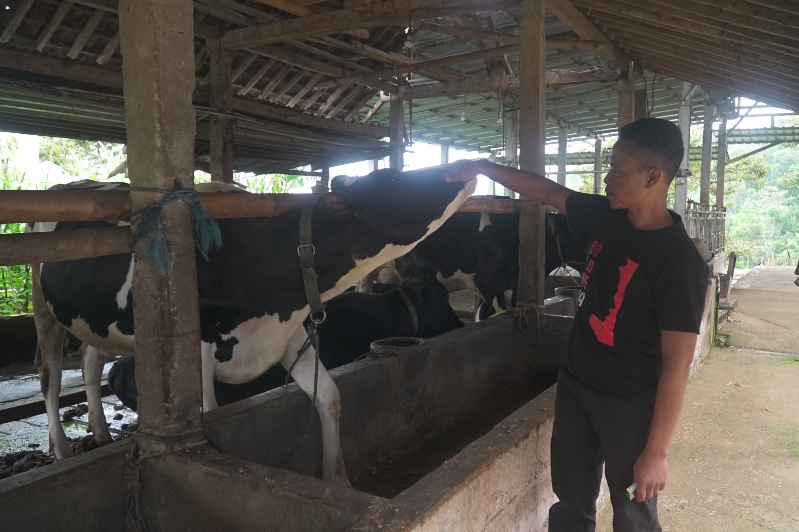 Kisah Pengusaha Pakan Ternak dari Ponorogo Ini Buktikan KUR BRI Bisa Bikin Usaha Berkembang