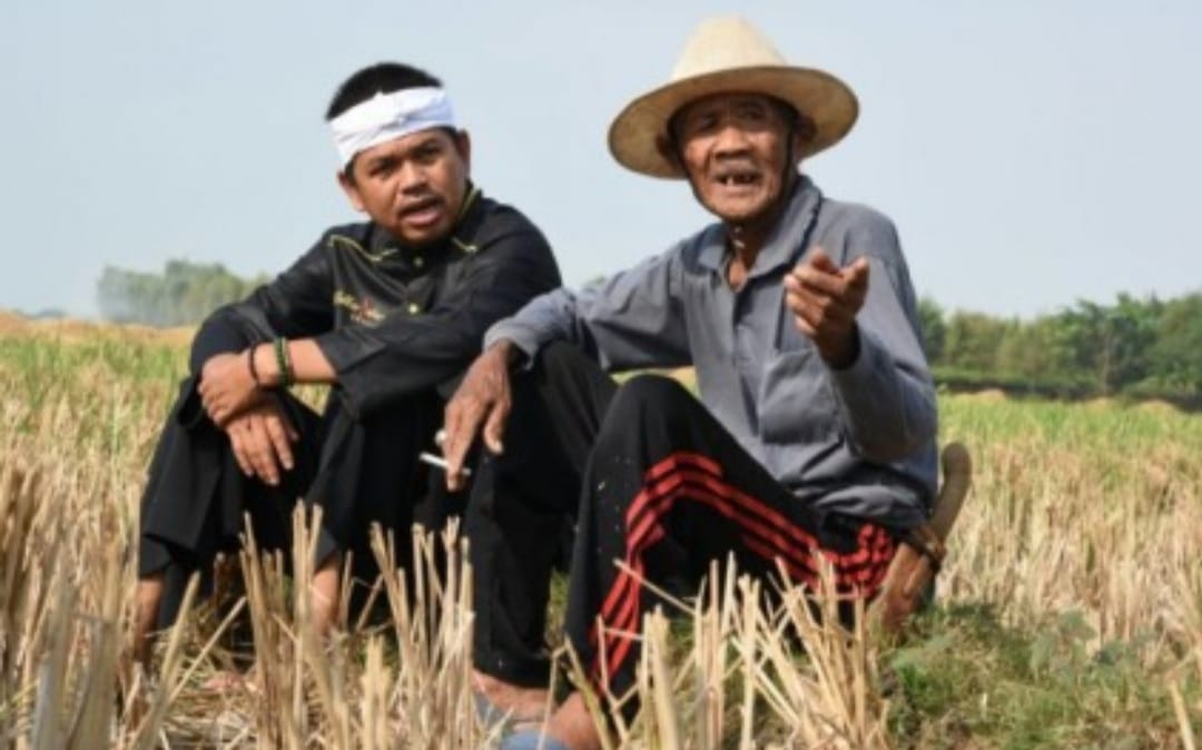 Dinilai Sangat Peduli Kepada Para Petani, Kelompok Petani Di Kabupaten Majalengka Dukung Kang Dedi Mulyadi