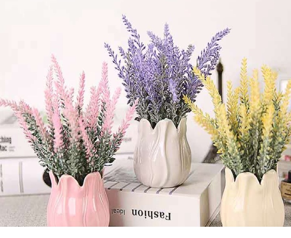 Mau Hoki Mengalir Terus? Coba Taruh 5 Tanaman Hias Indoor Ini di Dalam Rumahmu