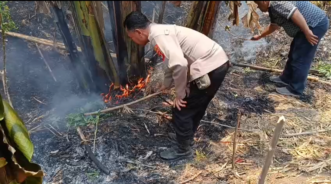 Kebakaran Lahan Kosong di Bongas Wetan Majalengka, Diduga Akibat Pembakaran Sampah