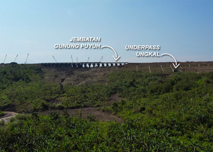 ANEH TAPI NYATA! Penampakan Jembatan Gunung Puyuh Tol Cisumdawu, Ada di Atas Urugan