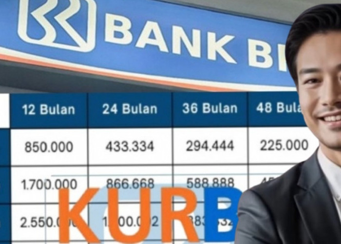 Penuhi Kebutuhan Usaha dengan Mudah Melalui Tabel KUR BRI Pinjaman 150 Juta, Begini Angsurannya