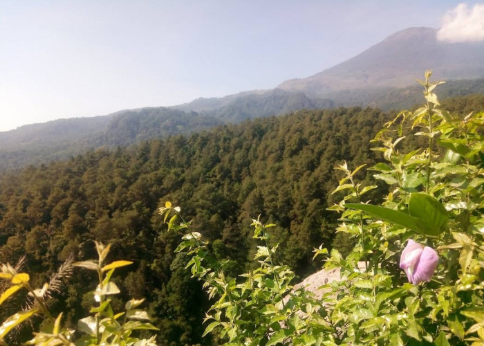 Bukan Hanya Ciremai, Ternyata Kabupaten Majalengka Miliki 8 Gunung, Salah Satunya Ada Peninggalan Purbakala