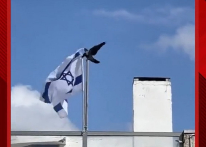 'Gagak Ababil' Julukan Burung yang Lepas Bendera Israel