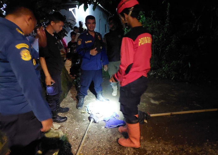 Suasana Lebaran, Damkar Lembur Evakuasi Sarang Tawon Vespa di 2 Tempat