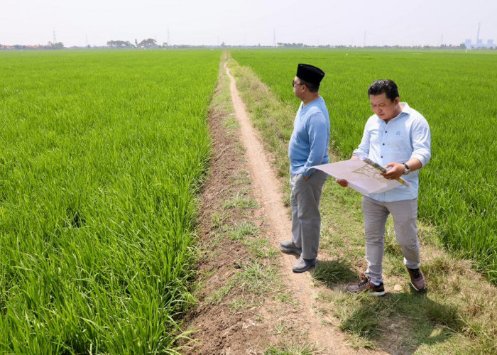 Nusron Tinjau Kawasan Industri Indramayu, Pastikan Lahan Sawah Tidak Masuk LSD Nasional