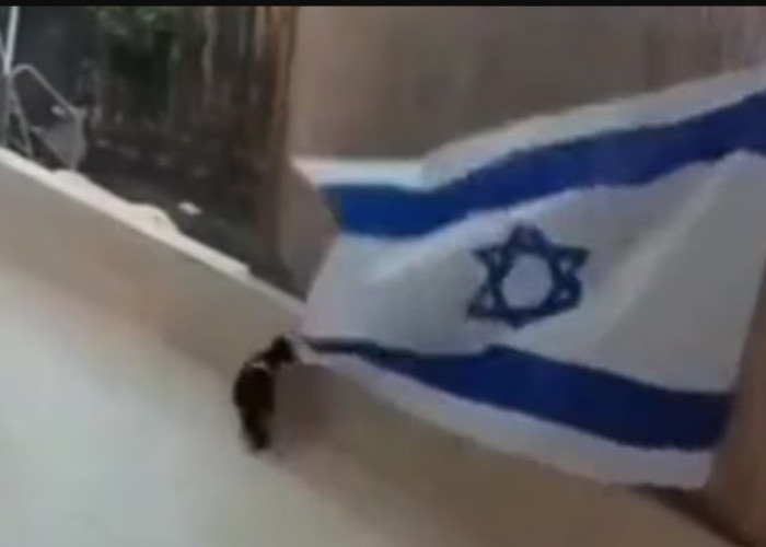 Usai Heboh Gagak 'Ababil' Turunkan Bendera Israel, Kini Giliran Seekor Kucing Copot Panji 'Bintang Daud'