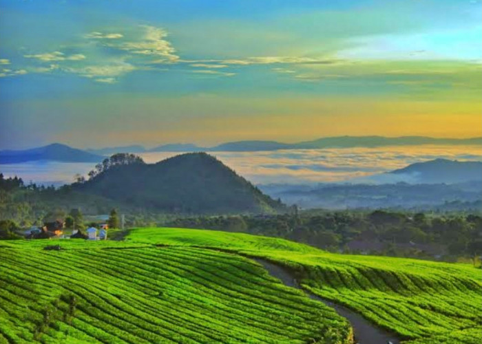 Prakiraan Cuaca di Subang Senin 13 Mei 2024