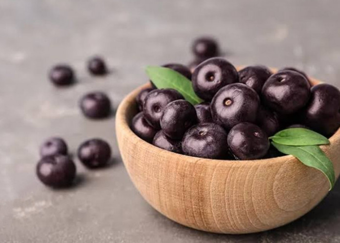 Mengenal Buah Acai Berry Yang Jarang Diketahui Namun Kaya Akan Manfaat 