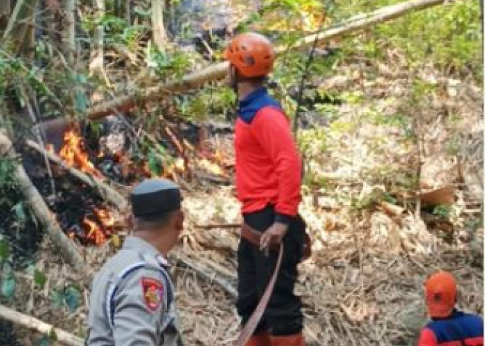 Petugas Damkar Memadamkan Api Bukit Balukbuk Margatapa yang Terbakar