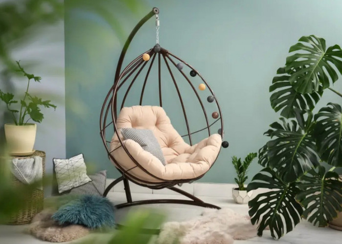 Mau Rawat Tanaman Tapi Gak Punya Waktu? 5 Tanaman Indoor Dengan Minim Perawatan.