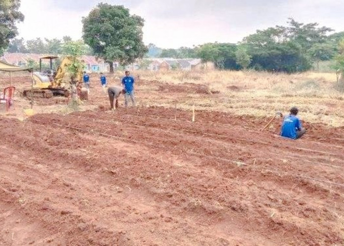 Warga Binaan Lapas Manfaatkan Lahan Yonif 321/Galuh Taruna