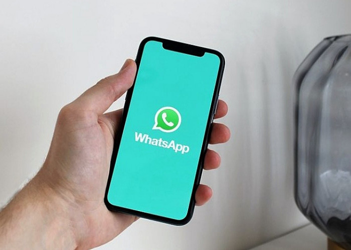 Buruan cek! Apakah iPhone anda masih support WhatsApp atau tidak? Berikut daftarnya