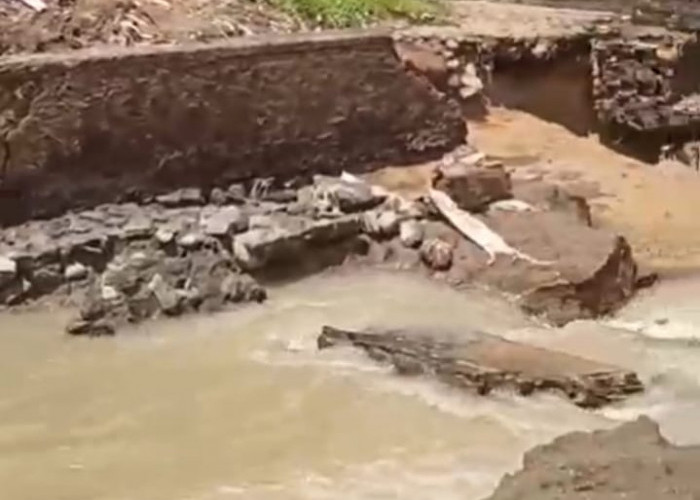 Saluran Sungai di  Waringin  Jebol, Petani Terancam Pada MT2