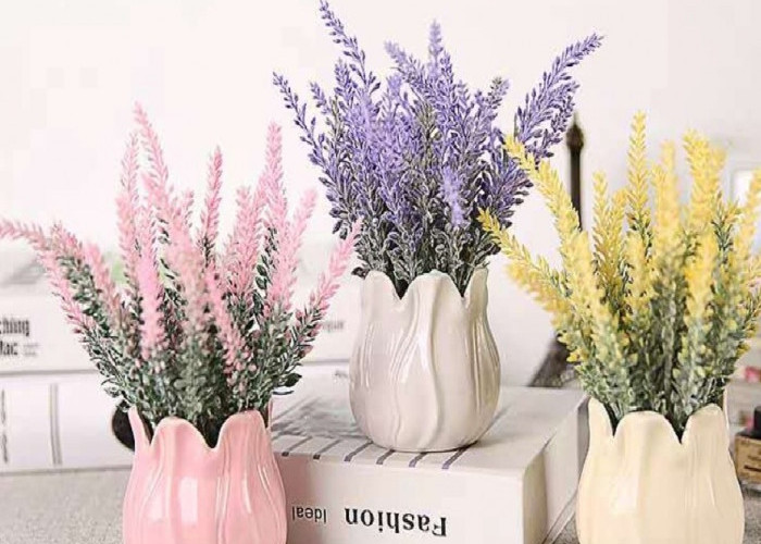 Jarang Dilirik, Berikut 6 Tanaman Hias Indoor Penyerap Bau Alami di Udara dengan Perawatan Minim