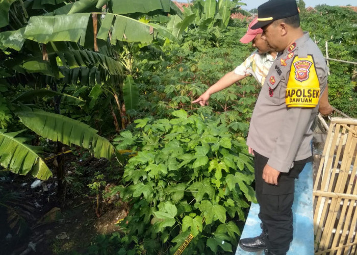 Geger! Aksi Seorang Janda untuk Menutupi Aibnya: Pura-pura Temukan Bayi