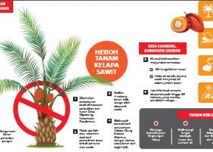 Sawit Dilarang di Jawa Barat, Majalengka Mantap Menolak, Cigobang Terancam Alih Fungsi Hutan