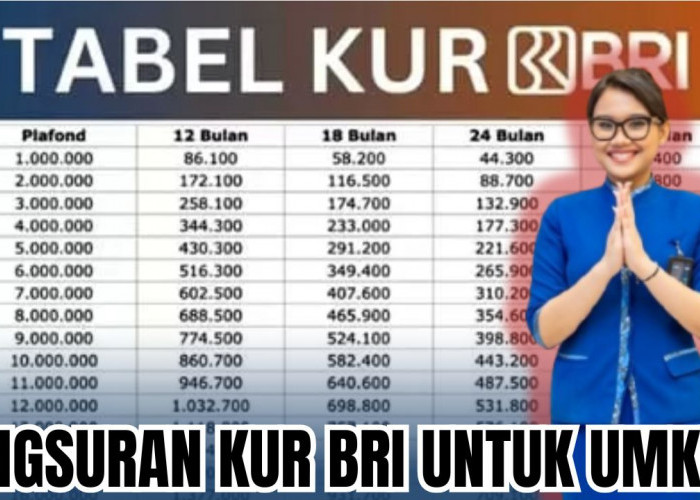 Dapatkan Modal Usaha Hingga 20 Juta, Simak Tabel Angsuran KUR BRI Desember 2025 Ini!
