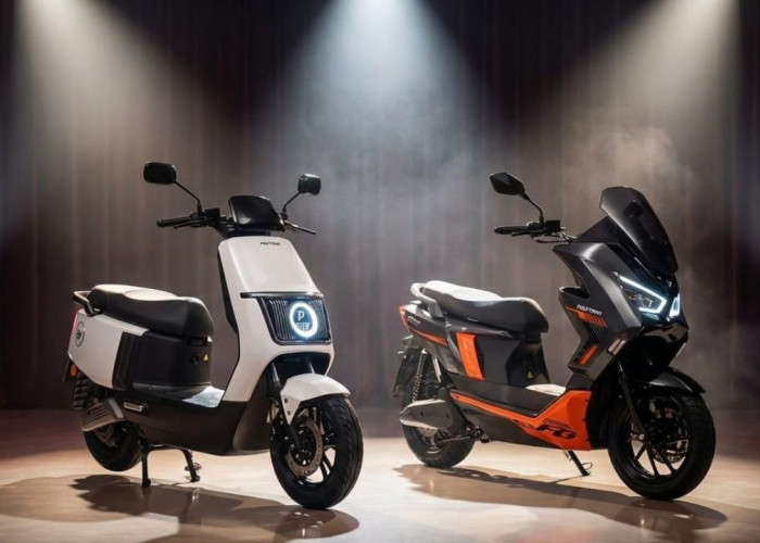 Harga 10 Jutaan Sudah Dapat Subsidi Motor Listrik Mirip Nmax! Simak Rincian Harganya Disini