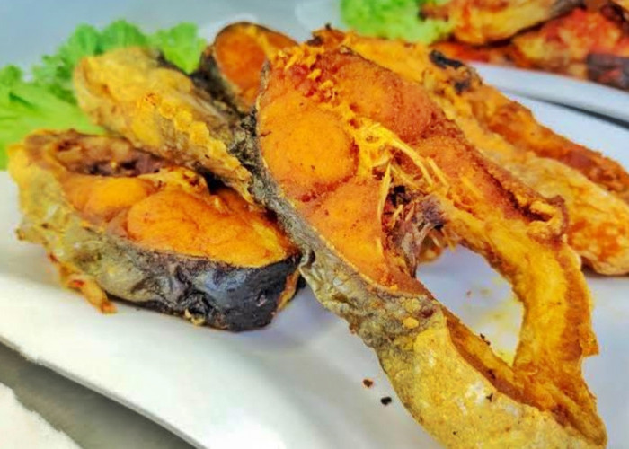 Ikan Patin Yang Sering Dikonsumsi Ternyata Dapat Mengontrol Berat Badan Loh! Yuk kenali Beberapa Manfaatnya 