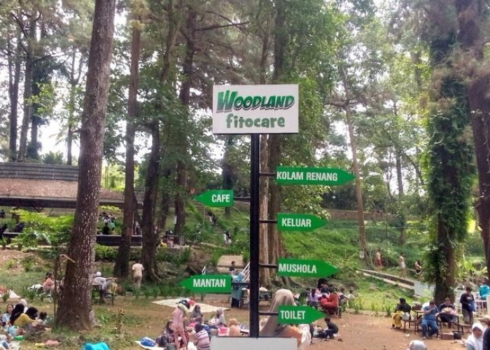 Wisata Woodland di Kabupaten Kuningan, Salah Satu Wisata Populer