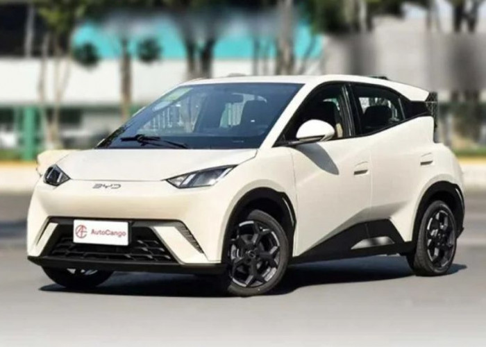 Tersedia Cicilan Rp 1 Jutaan, Cek Skema Kredit, Tenor, dan Spesifikasi Lengkap BYD Atto 1