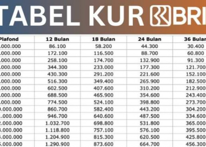Edisi Awal Tahun, Berikut Tabel Angsuran KUR BRI 2026 Terbaru, Cicilan Teredah Cuma 200 Ribuan Plafon 50 Juta