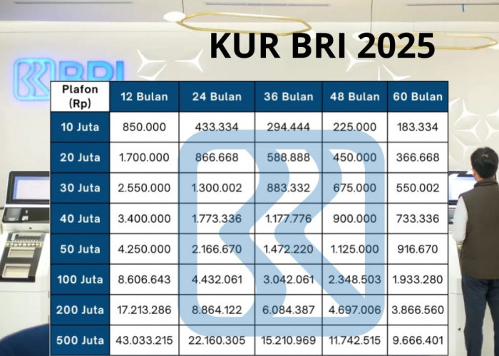 Tabel Angsuran KUR BRI Rp50 Juta Terbaru: Bunga Rendah, Cicilan Ringan, Cocok untuk Modal Usaha!