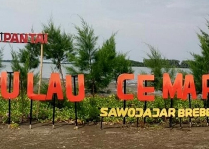 Pantai Pulau Cemara Sawojajar yang Ada di Brebes, Unik dan Menarik, Bisa Healing Anti Pusing