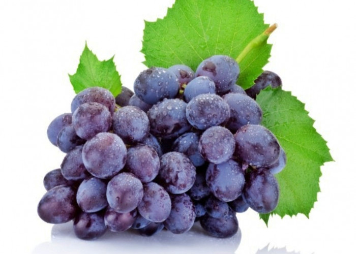 Anggur banyak manfaat? Yuk simak manfaat dari buah anggur yang bagus untuk kesehatan