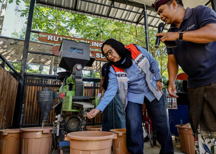 Program DEB Uma Palak Lestari Binaan Pertamina Tingkatkan Produktivitas Petani dan Ekonomi Masyarakat