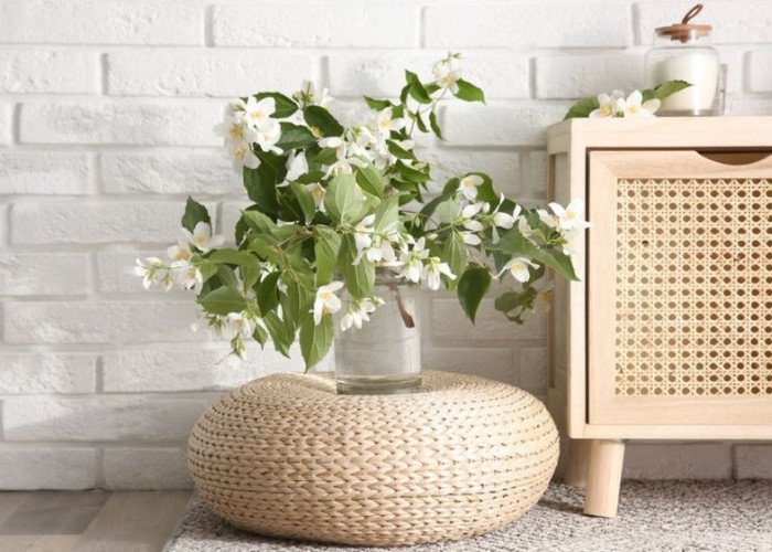 Inspirasi 9 Tanaman Hias Agar Rumah Ceria, Segar dan Menyenangkan untuk Keluarga & Tamu saat Lebaran