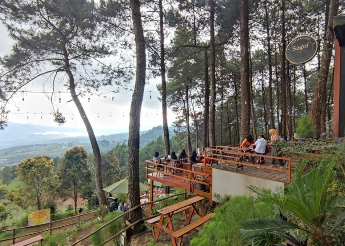 BEST VIEW! Kafe di Hutan Gunung Ciremai, Ada Sagof Coffee, Nikmatnya Ngopi di Ketinggian