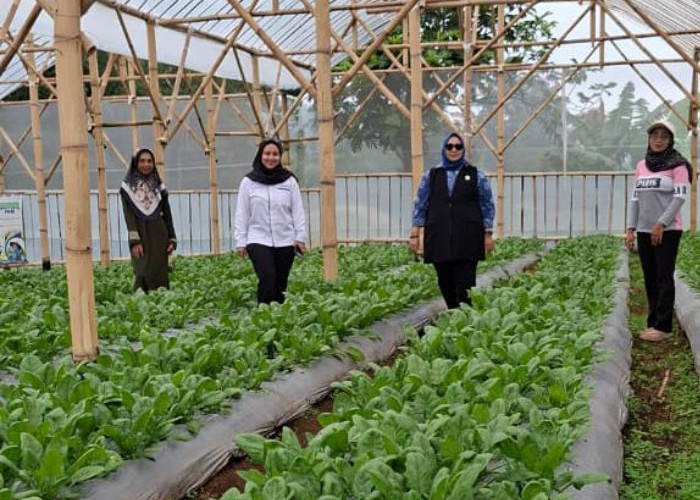 Perempuan Nasabah PNM Mekaar di Bandung Barat Kembangkan Usaha lewat Sinergi Ultra Mikro BRI