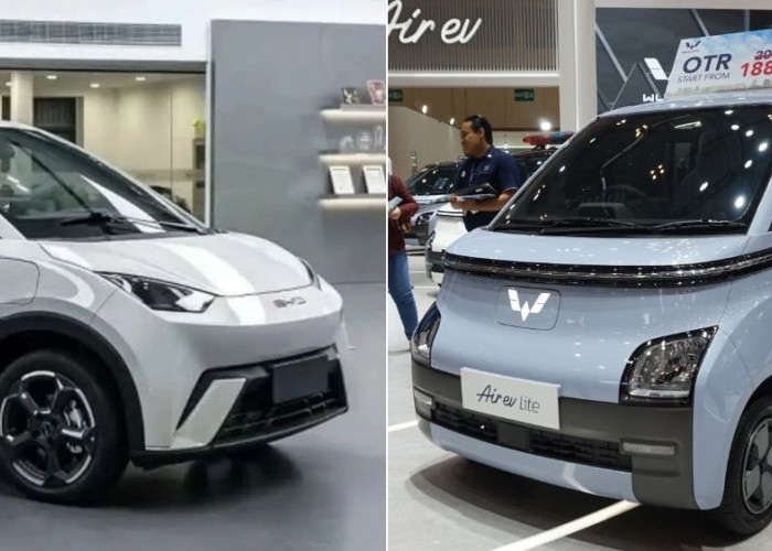 Bandingkan Harga dan Jarak Tempuh BYD Atto 1 dan Wuling Air EV Bekas, Mana Lebih Hemat & Nyaman?