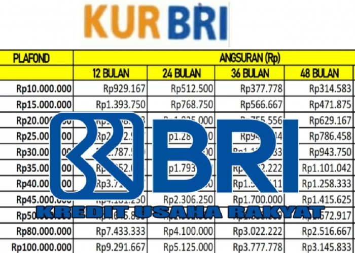 Simulasi Angsuran KUR BRI November 2025 yang Paling Ringan untuk UMKM, Cicilan Cuma Rp 480 Ribu Perbulan