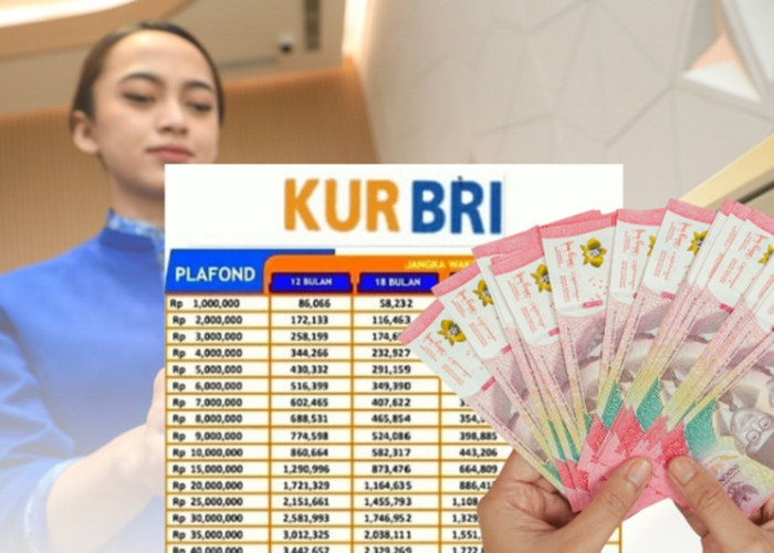 Cicilan Mulai dari 21 Ribuan, Berikut Skema Rincian Pinjaman KUR BRI 2025 dengan Plafon 1-5 Juta