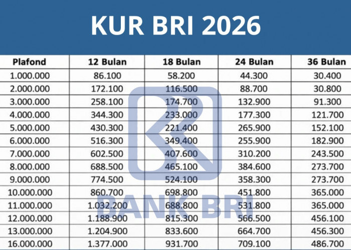 Intip Tabel Angsuran KUR BRI 2026 Pinjaman Rp75 Juta, Cicilan Ringan & Bunga Rendah!
