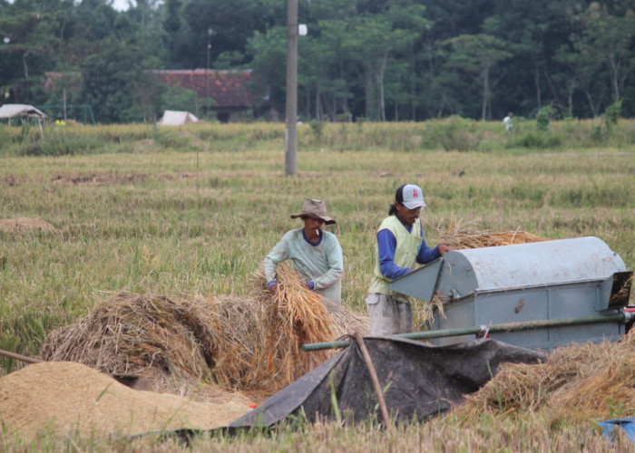 Pemkab Majalengka Tetapkan LP2B 40.800 Hektare, 7.000 Hektare Disiapkan untuk Kawasan Industri