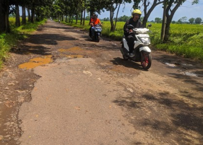 JALAN RUSAK Majalengka, Jalur Palasah-Jatiwangi Dipenuhi Ranjau Darat