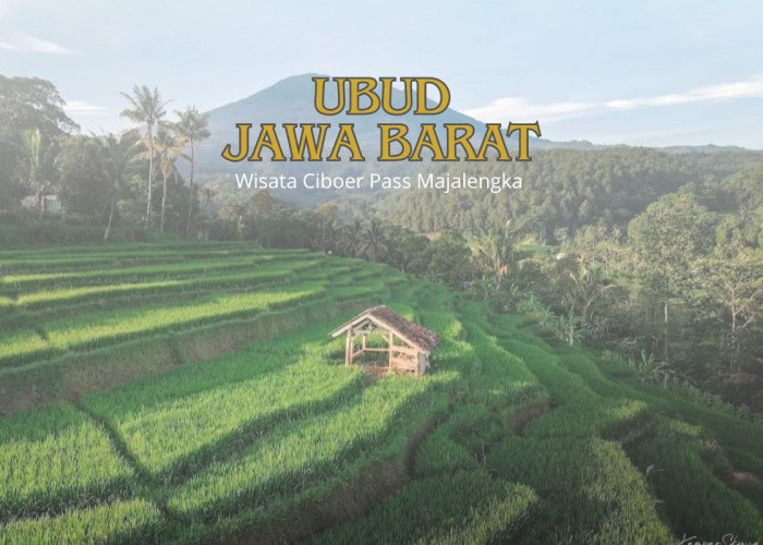 Wisata Ciboer Passs di Juluki Ubud: Terasering Terestetik Se Jawa Barat
