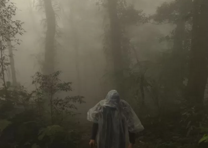 Menjelajahi Misteri Gunung Salak: Legenda, Mitos, dan Fakta Menarik